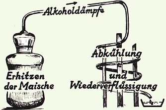 Schematische Darstellung der Alkoholgewinnung